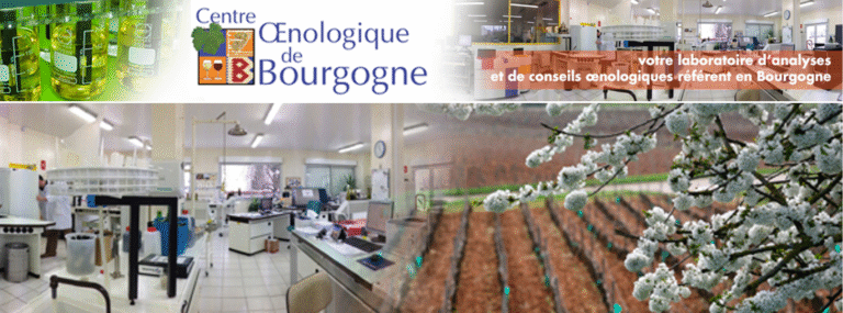 Le Centre Œnologique de Bourgogne a choisi Qualishare !
