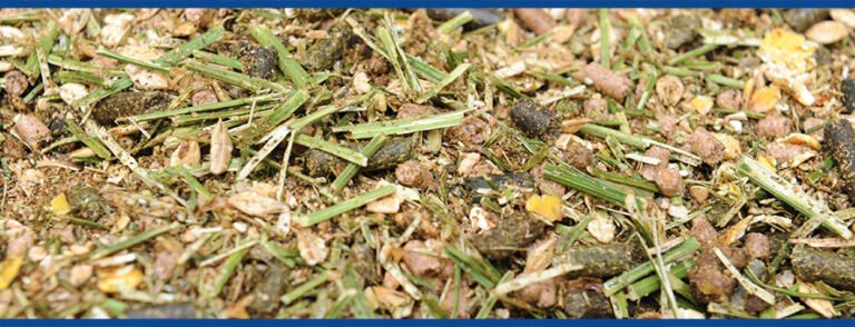 La société SOAL du groupe Maisadour a choisi Qualishare pour piloter son SMQ !