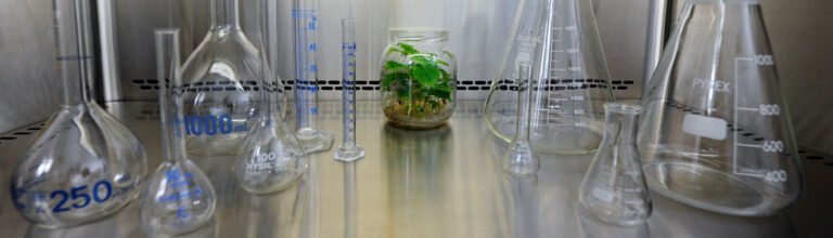 Novatech choisit Qualishare pour piloter son système qualité !